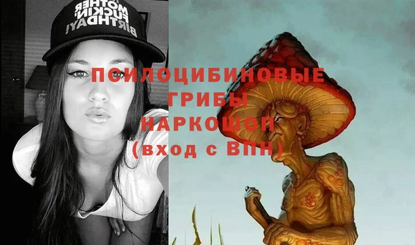 мдпв Балахна