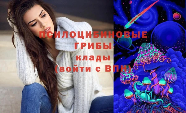 мдпв Балахна